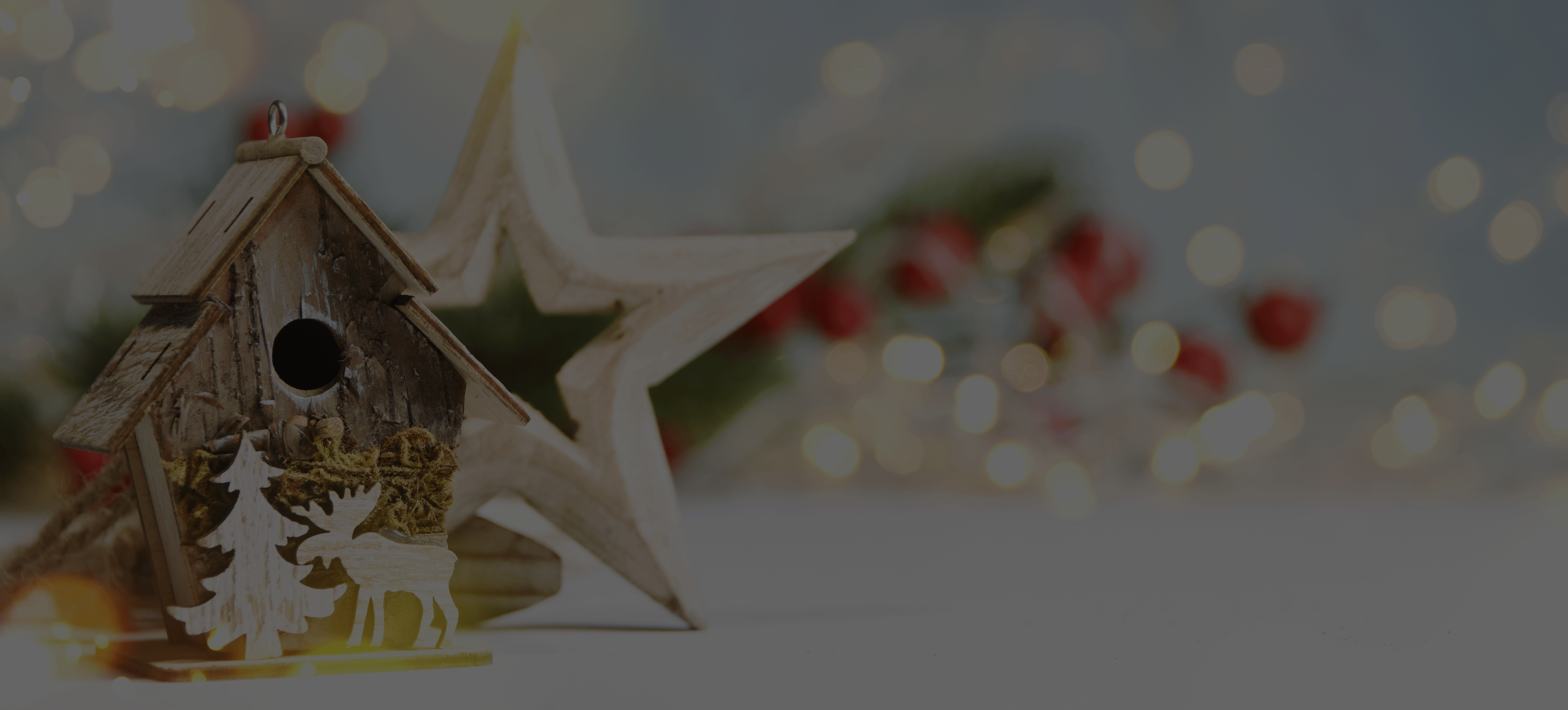 Christmas-Birdhouse-Star_744876880