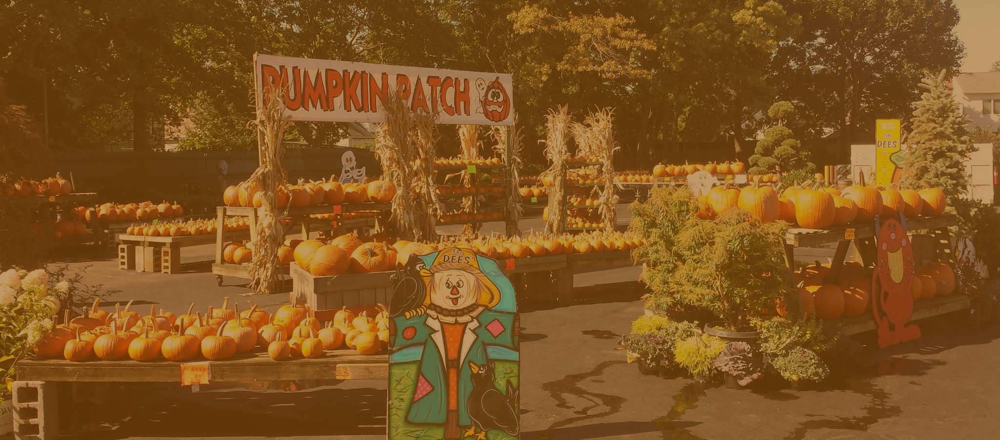 Pumpkin Patch carousel image