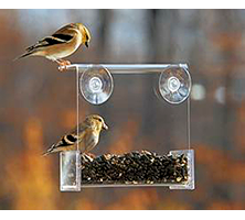 transparent window bird feeder
