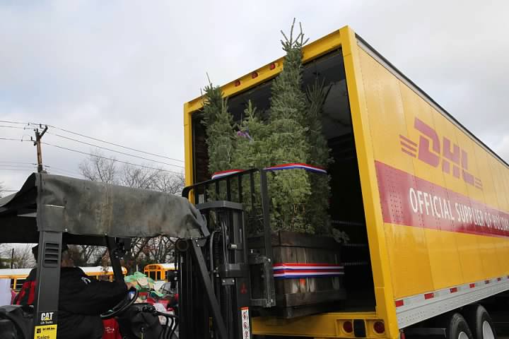 loading trees - Dees' Nursery