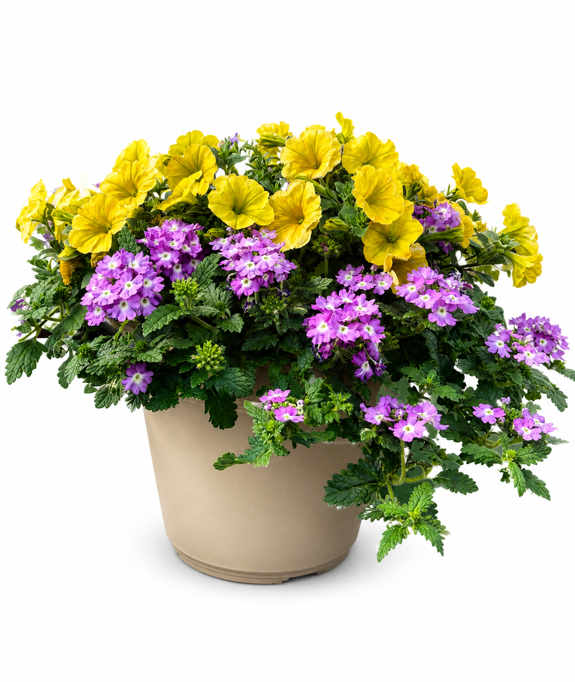 #1 Hello Yellow Hello Yellow patio planter