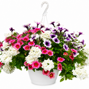 10” Combo Hanging Basket #1