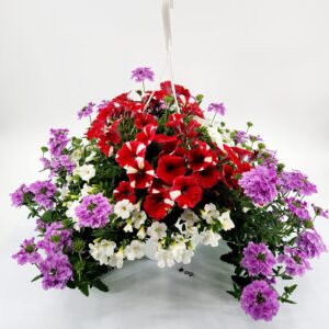A Summer 10” Combo Hanging Basket #2
