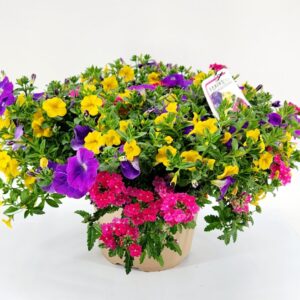 Summer 12" Combo Planter #5 Season Opener