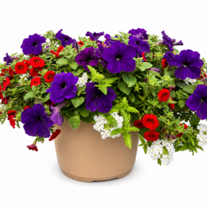 patriotic patio planter