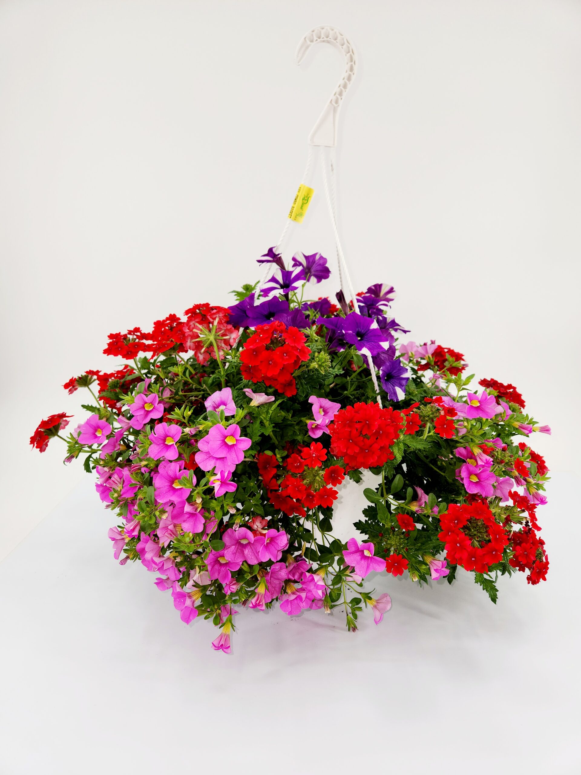 A Summer 10” Combo Hanging Basket #1 - Dees' Nursery