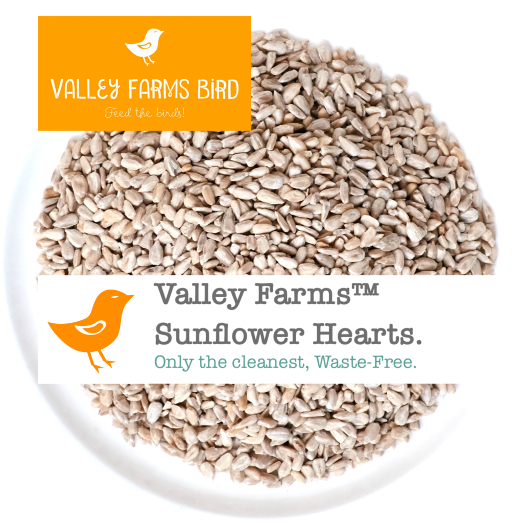 Sunflower Hearts 15lb Bag Dees' Nursery