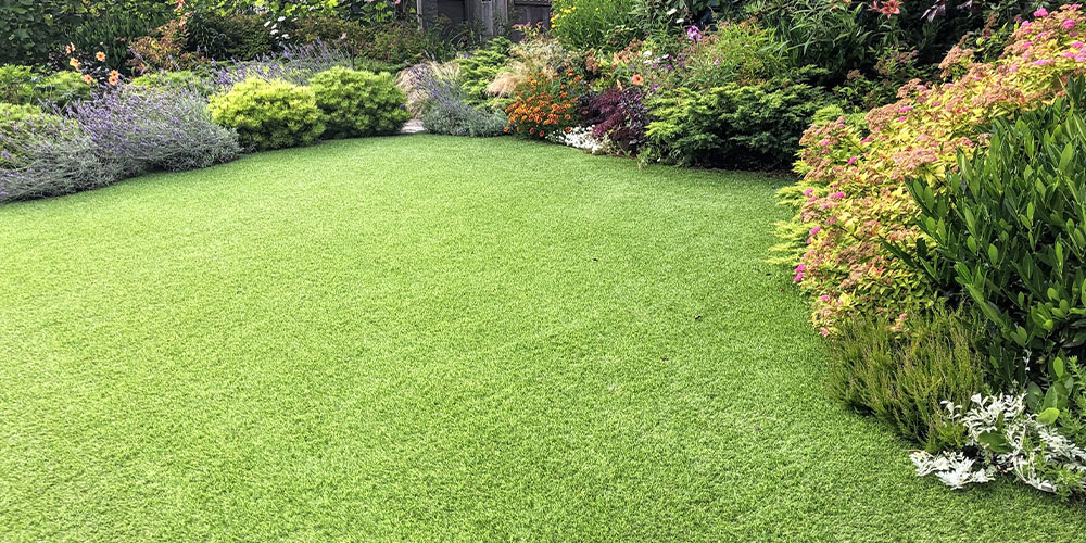Dees Nursery - Lawn Care -lawn in backyard