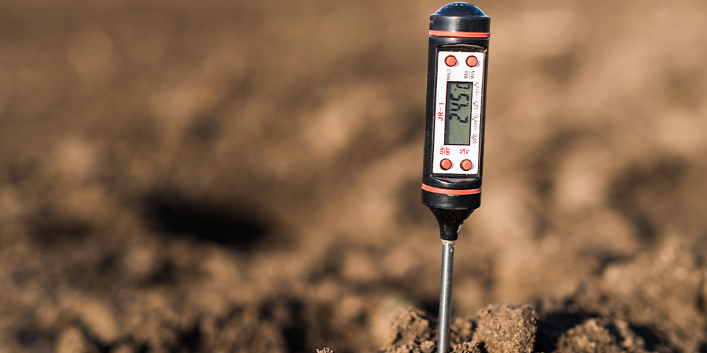 Dees Nursery - Lawn Care -soil ph test