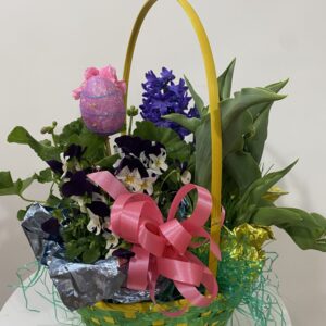 Easter Plant Basket (4 Plants)