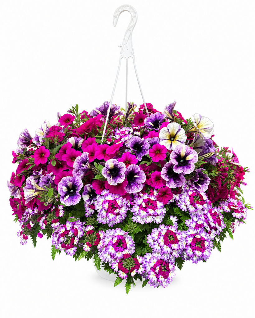 10” Combo Hanging Basket #4