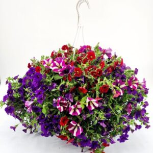 A Summer 10” Combo Hanging Basket #5