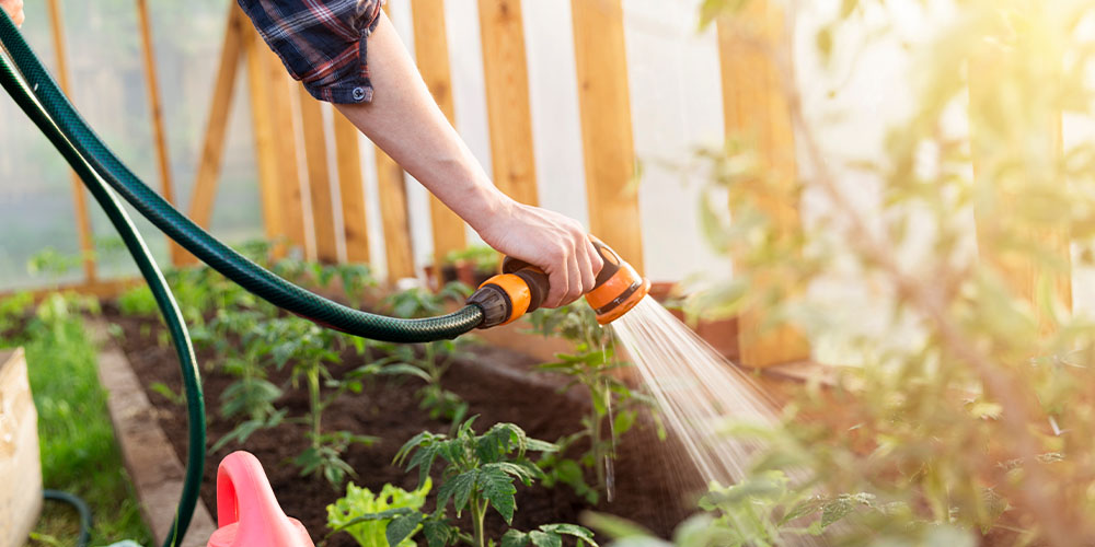 Dees Nursery -How Not to Hate Yardwork-watering a garden in the morning