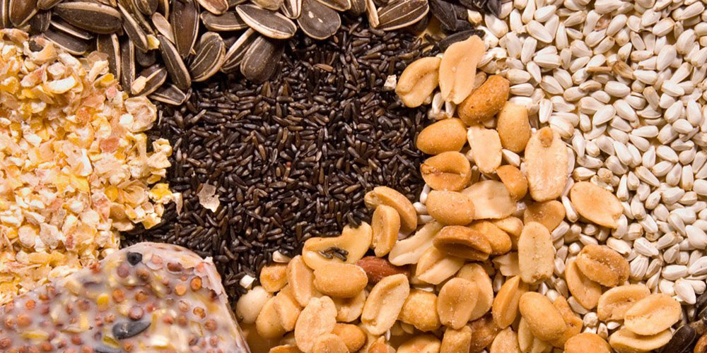 Dees Nursery -How to attract birds to your yard-assorted bird feed