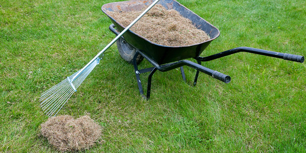 Dees Nursery -Spring Yard Clean Up Checklist--dethatching the lawn