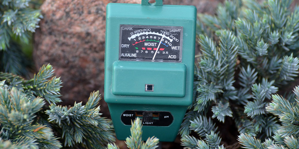 Dees Nursery-Long Island-Fall Yard and Garden Clean Up Checklist-soil ph tester