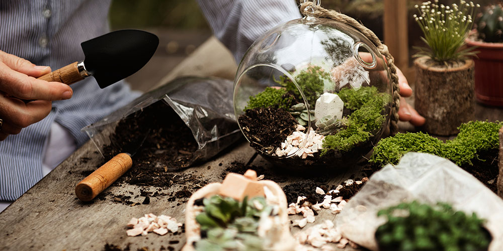 Dees Nursery-Long Island-How to Build a Terrarium-building a terrarium