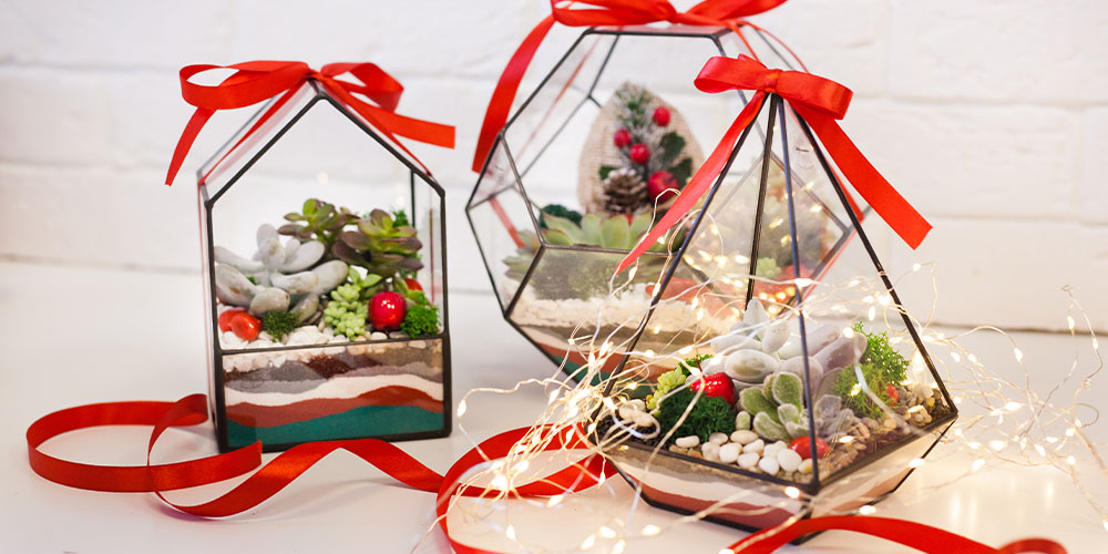 Dees Nursery-Long Island-How to Build a Terrarium-christmas terrariums