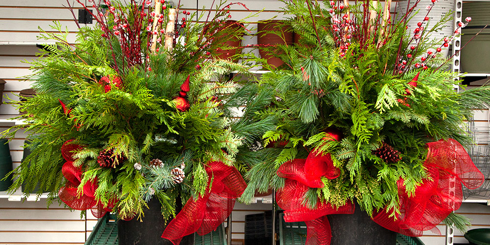 Dees Nursery-Oceanside-Holiday Planter Themes-matching holiday planters