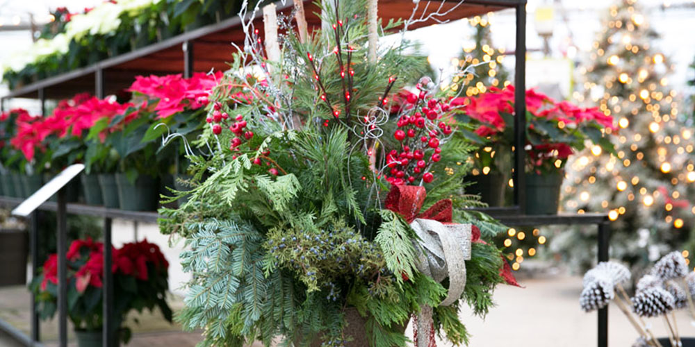 Dees Nursery-Oceanside-Holiday Planter Themes-red and green theme planter