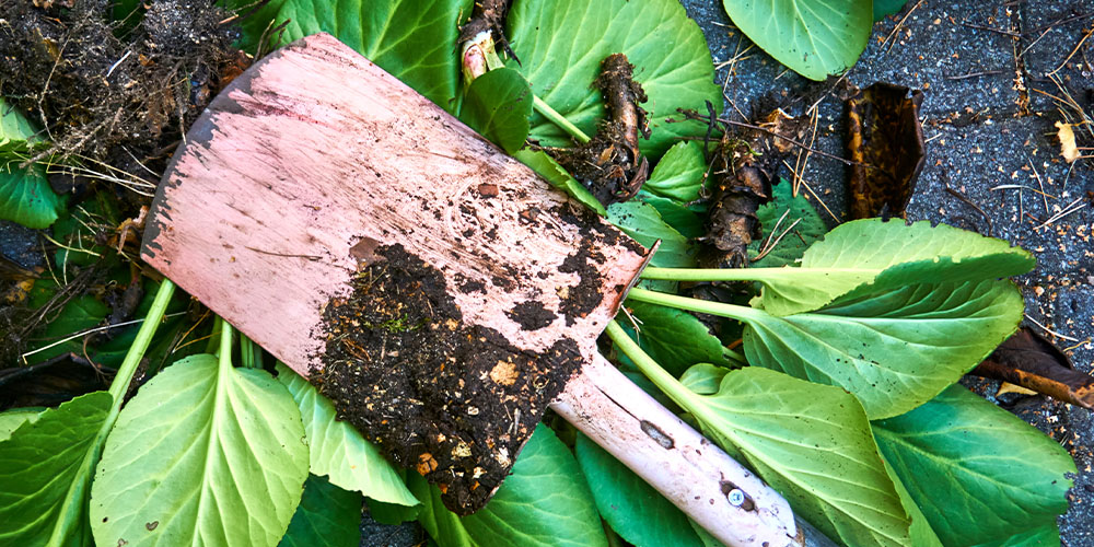 Dees Nursery-Long Island-How to Maintain Your Garden Tools-dirty shovel