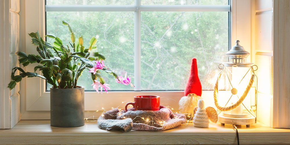 Dees Nursery-Oceanside-How to Care for Christmas Cactus-christmas cactus holiday display