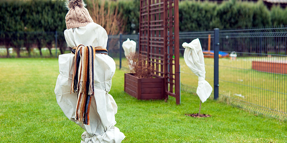 Dees Nursery-Oceanside-Protecting Young Trees-wrapped tree