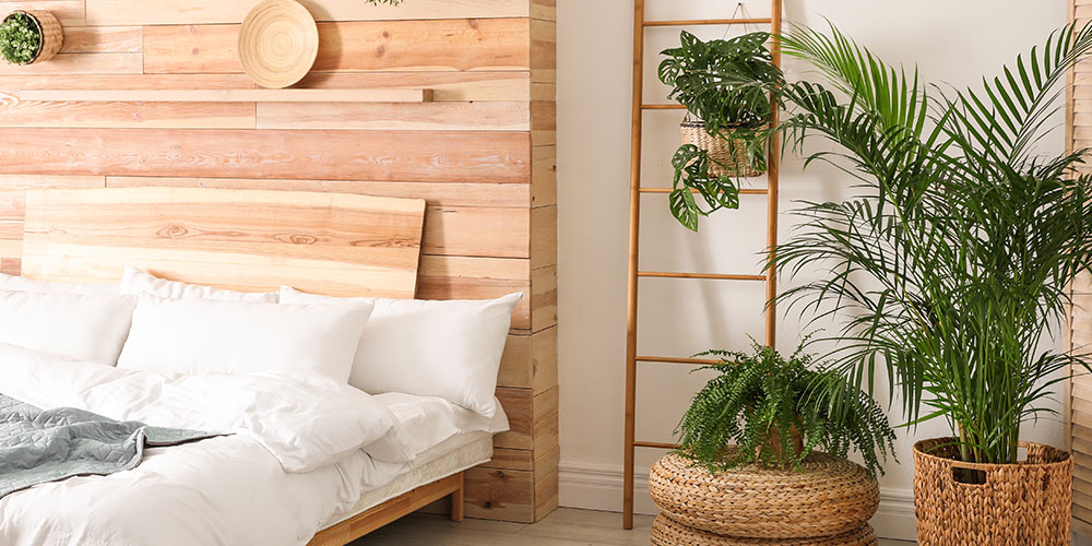 Dees Nursery-Oceanside-plants in bedroom