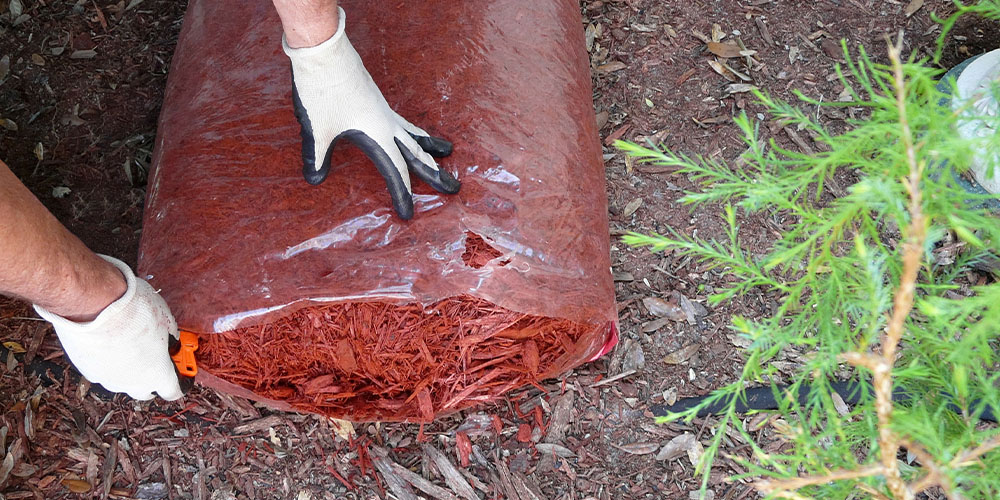 Dees Nursery-Oceanside-Managing Snow to Keep You and Your Landscape Safe-mulching garden