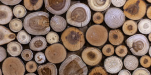 Dees Nursery-Oceanside-All About Firewood-types of firewood