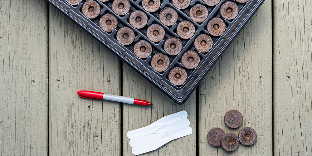 Dees Nursery-Oceanside-Seed Starting Basics -seed pods