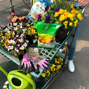 Dees Nursery-Oceanside-Plan Your Planters Ahead of Time -cart with flowers