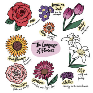 Dees Nursery-Oceanside-The Meaning of Flowers-the language of flowers