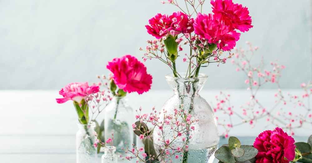 Dees Nursery-Long Island-Oceanside-Why We Love Carnations-carnation in vase