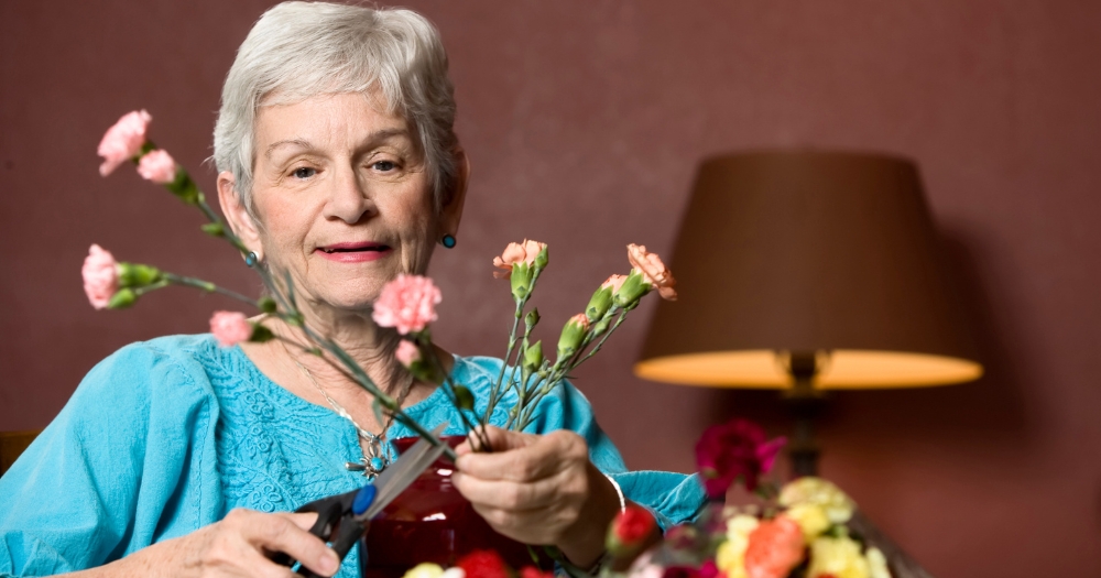 Dees Nursery-Long Island-Oceanside-Why We Love Carnations-cutting carnations