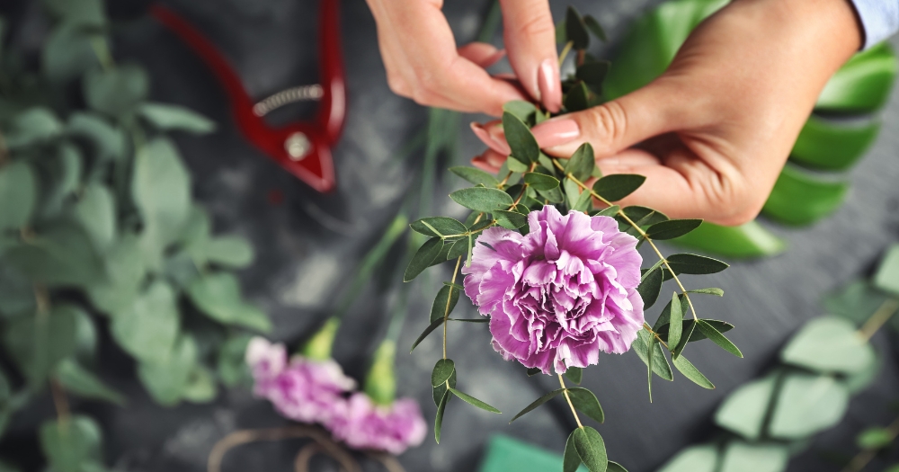 Dees Nursery-Long Island-Oceanside-Why We Love Carnations-purple carnation