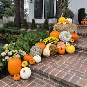 Harvest Pumpkin Displays
